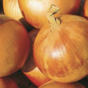 Seed Onion Gladalan Brwn 100g Terranova