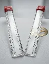 Ruler Plst 12" 6031 30cm