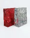 Gift Bag Glossy 21CM 10332-1