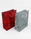 Gift Bag Glossy 21CM 10332-1