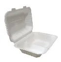 Disposal Meal Box 2604-9''*6''