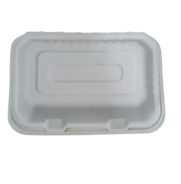 Disposal Meal Box 2604-9''*6''