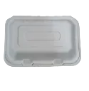 Disposal Meal Box 2604-9''*6''
