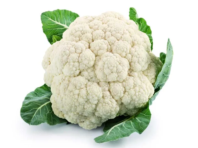 Seed Terranova Cauliflower Sel 174 20grams