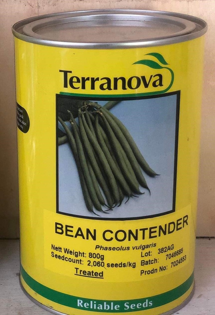 [SD0300]  Seed Terranova Bean Contender 800g 