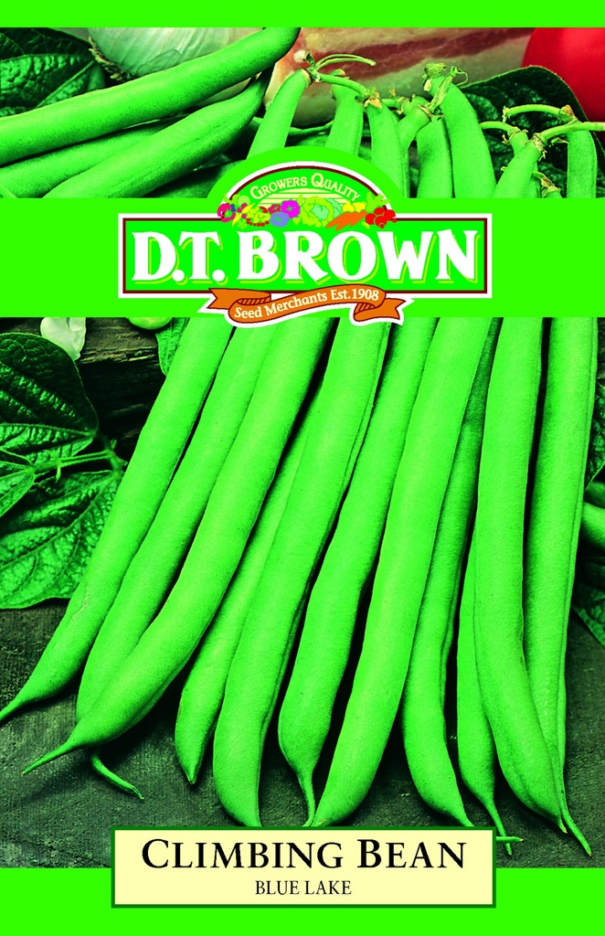 [SD0303]  Seed Mr Fothergill'sl Bean Climbing BL 20g #2808
