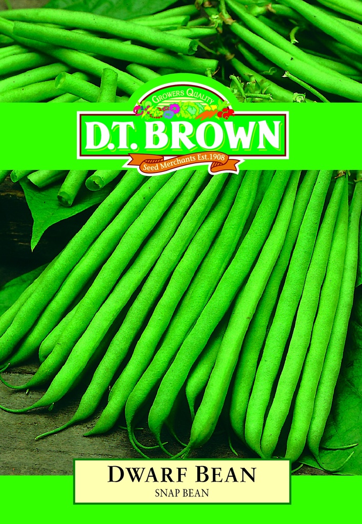 [SD0306] Seed Bean Dwarf Snap Bean 20g MFG2206