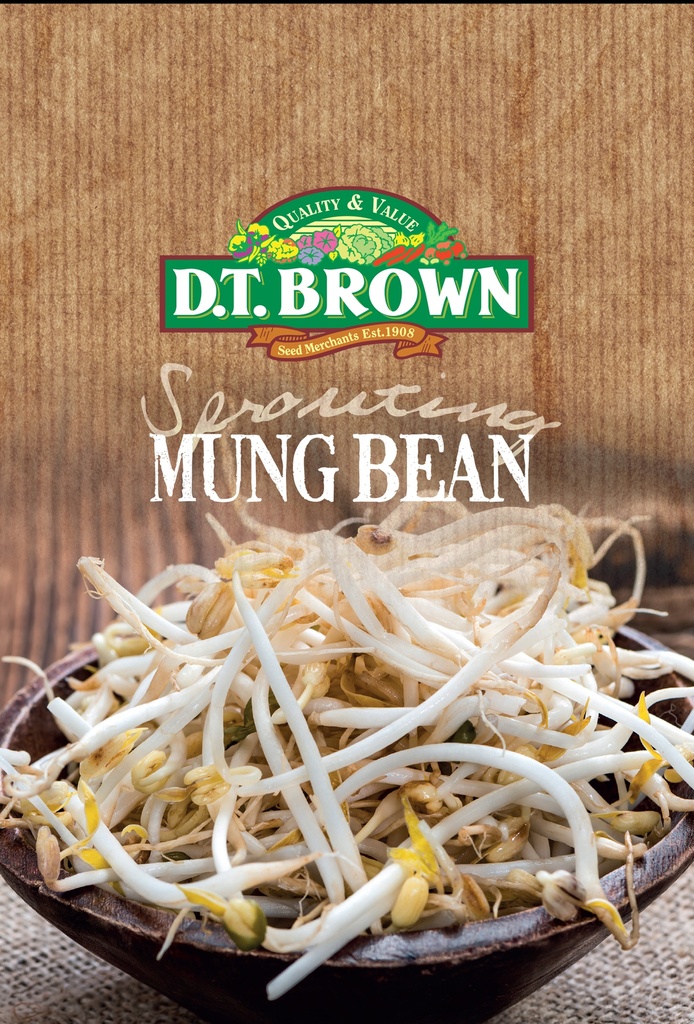 [SD0314]  Seed Mr Fothergill'sl Bean Mung Sprouts 50g #2318