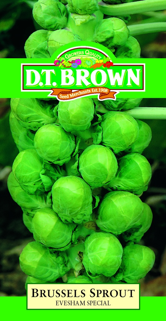 [SD0330] Seed Mr Fothergill'sl Evesham Brussels Sprt 1.968g #2021