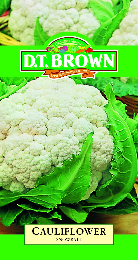 [SD0334] Seed Mr Fothergill'sl Cauliflower Snow Ball 0.938g #2257