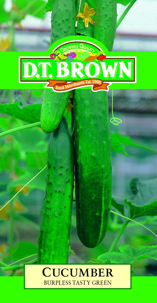 [SD0337]  Seed Mr Fothergill'sl Cucumber B/less Tasty 0.312g #2095