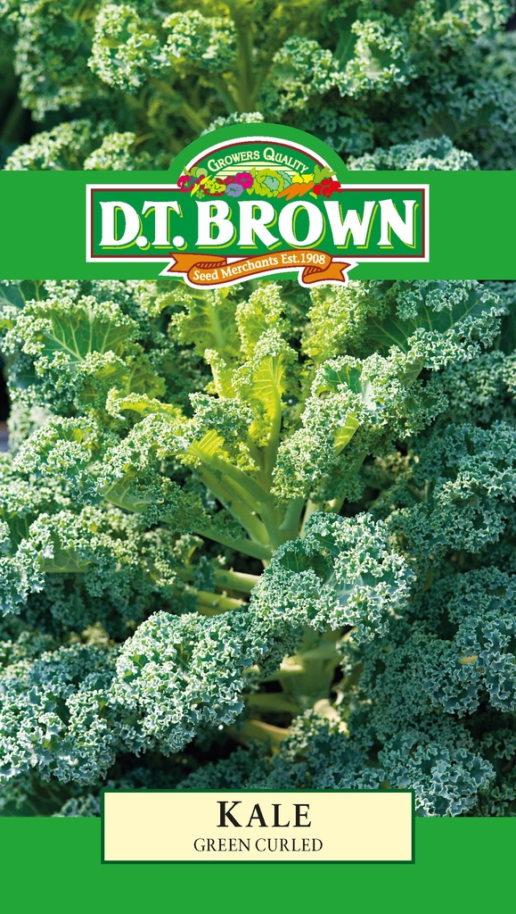 [SD0343]  Seed Mr Fothergill'sl Kale Dwarf Grn Curled 0.918g #2288