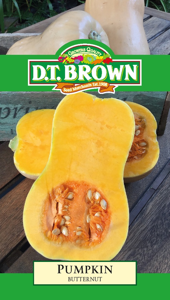 [SD0352] Seed Mr Fothergill'sl Pumkin Butternut 2.825g #2233