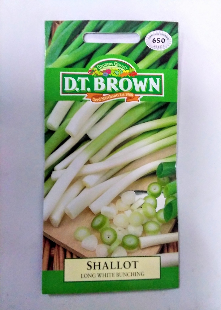 [SD0356]  Seed Mr Fothergill'sl Shallot Longwht Bunching 2.479g #2073