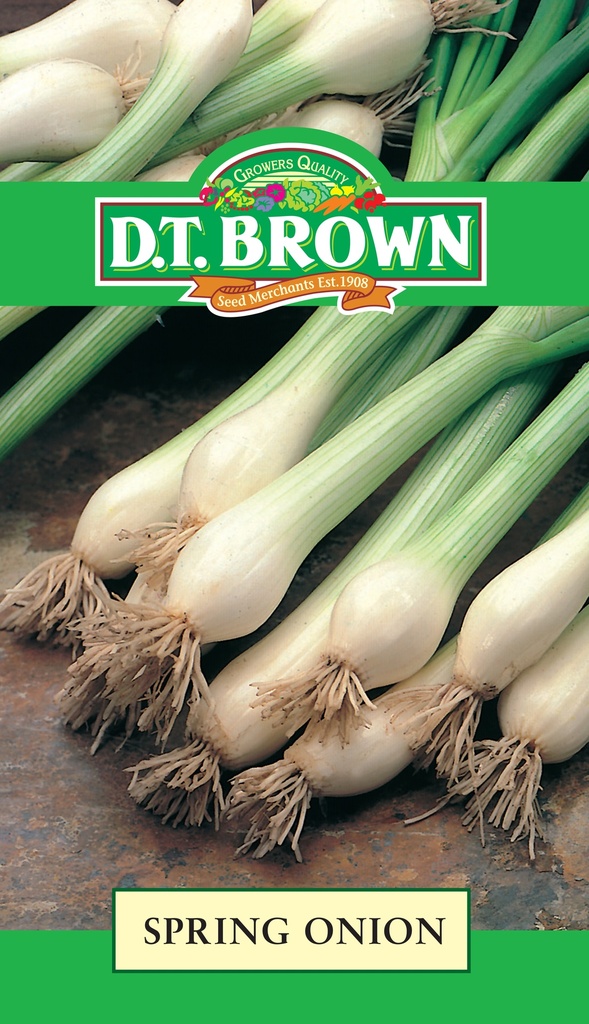 [SD0359] Seed Mr Fothergill'sl Onion Spring 2.435g #2228