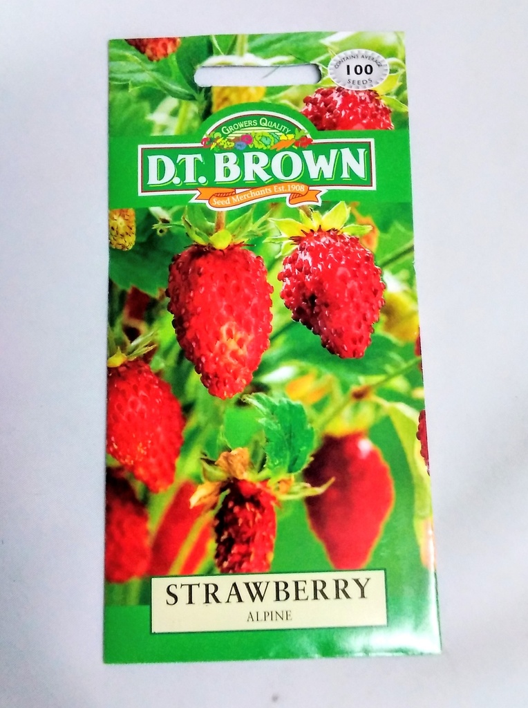 [SD0361]  Seed Mr Fothergill'sl Strawberry Alpine(Regina)0.041g #2308