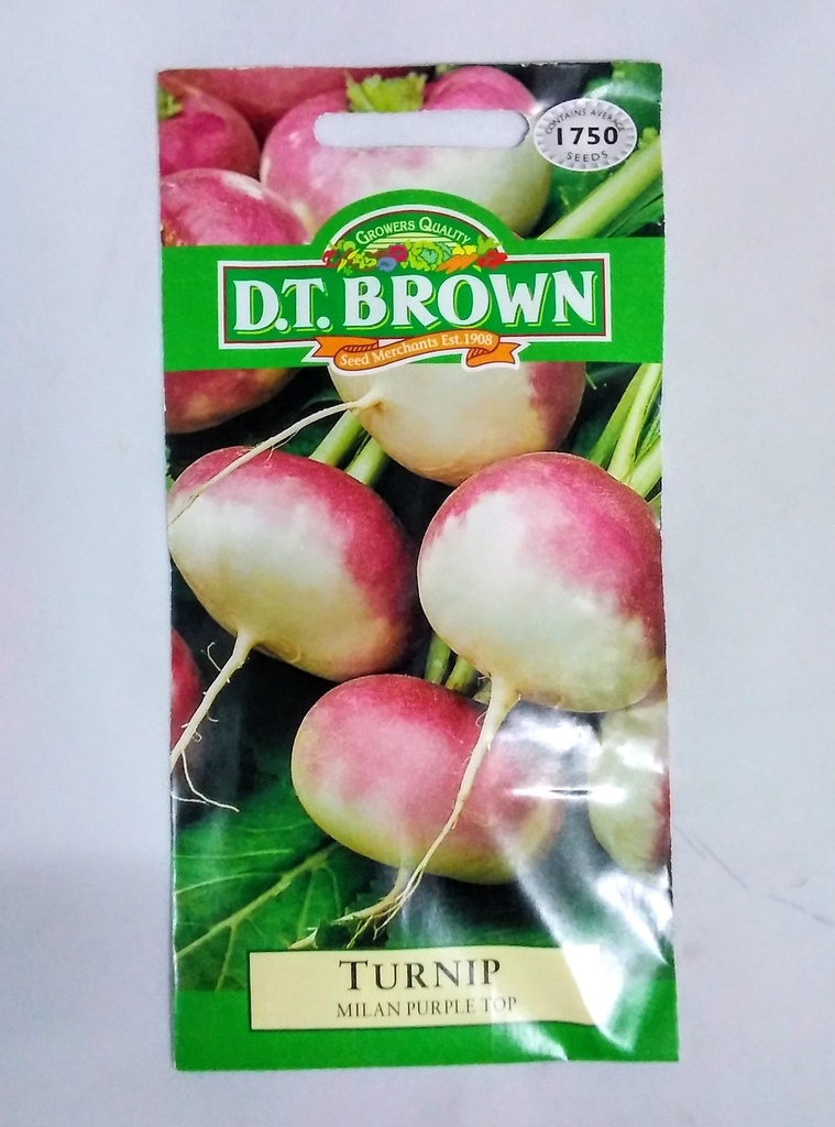 [SD0367]  Seed Mr Fothergill'sl Turnip Milan Purple Top 3.331g #2210