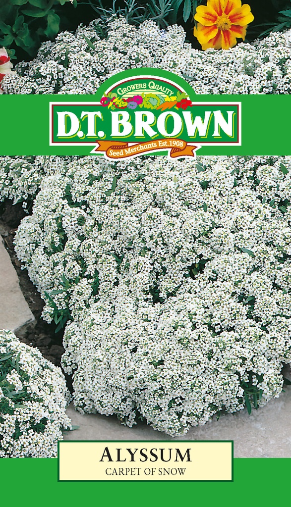 [SD0372]  Seed Mr Fothergill'sl Alyssum Carpet of Snow 0.416g #013