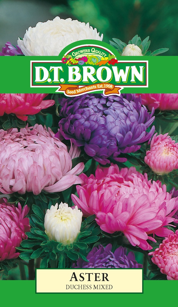 [SD0373]  Seed Mr Fothergill'sl Aster Duchess Mixed 0.371g #040