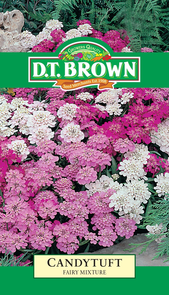 Seed Mr Fothergill'sl Candytuft Fairy Mixure 0.719g #1507