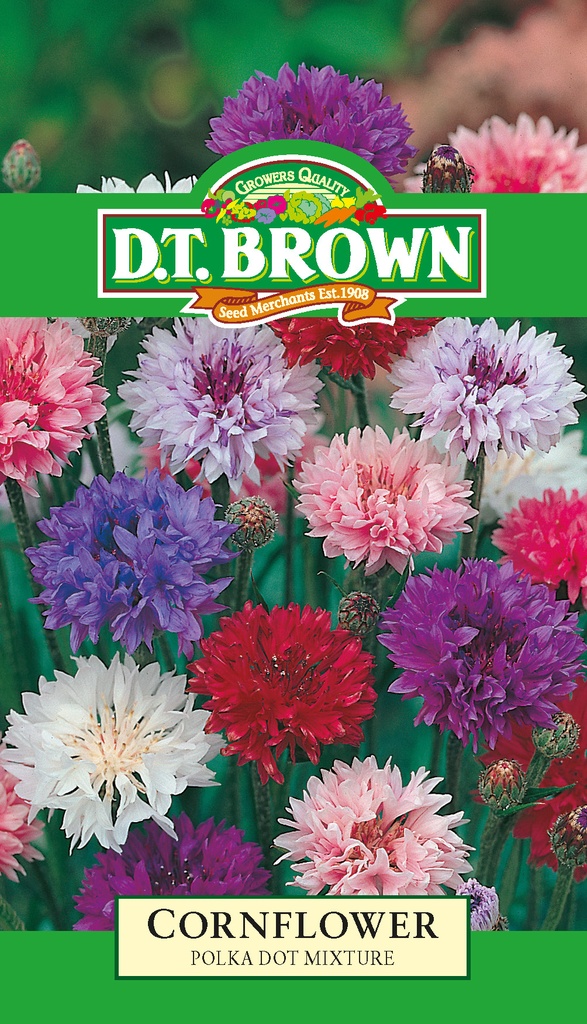 [SD0377]  Seed Mr Fothergill'sl Cornflower Polka Dot 2.102g #1508