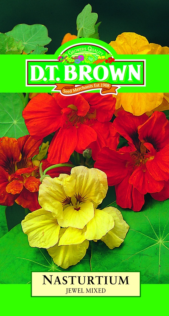 [SD0382]  Seed Mr Fothergill'sl Nasturtium JWL Mixed 5.65g #306