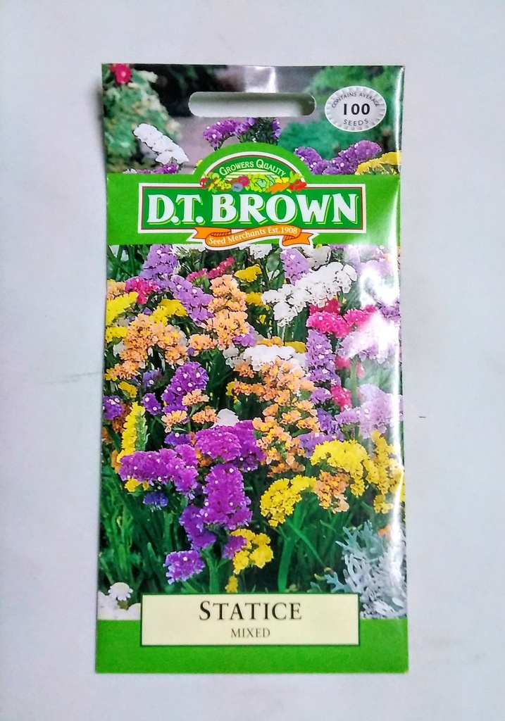 [SD0383] Seed Mr Fothergill'sl Statice Mixed 0.284g #492