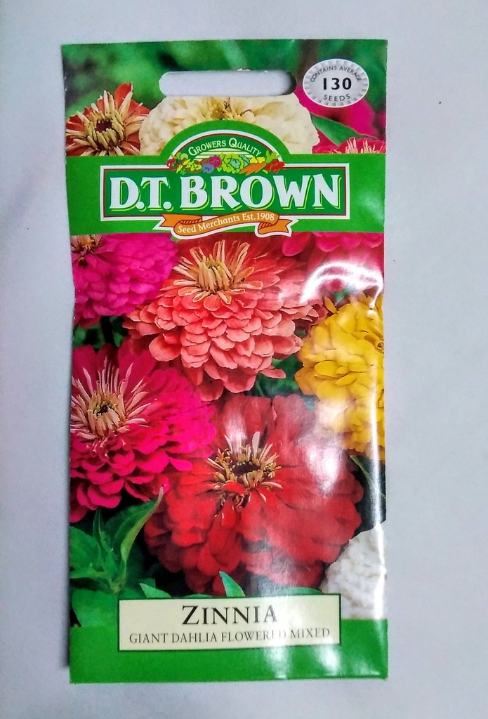 [SD0386]  Seed Mr Fothergill'sl Zinnia Giant Dahlia 1.113g #481