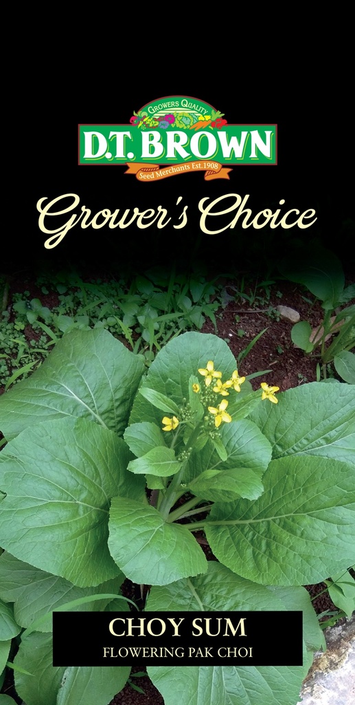 [SD0391] Seed Mr Fothergill'sl Choy Sum'Flowering Pak Choi'0.658g #2324