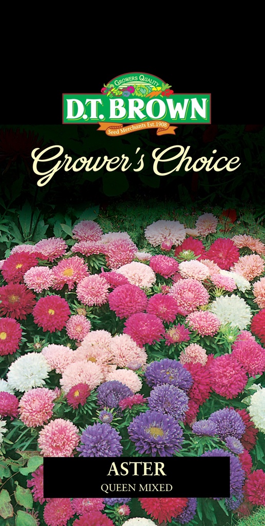 [SD0400]  Seed Mr Fothergill'sl Aster Queen Mixd 0.681g #2339