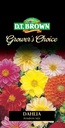  Seed Mr Fothergill'sl Dahlia Pompon Mix 0.238g #2341