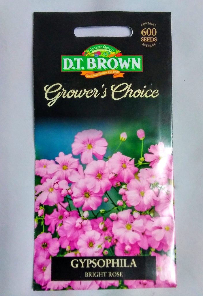 [SD0402]  Seed Mr Fothergill'sl Rose Gypsophila Bright 0.305g #2342