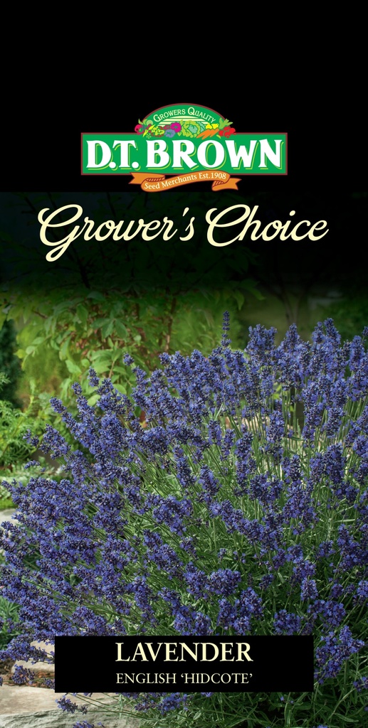  Seed Mr Fothergill'sl Lavender English Hidcote 0.097g #2343