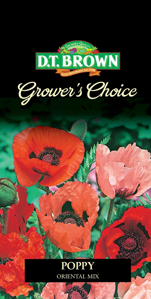 [SD0404]  Seed Mr Fothergill'sl Poppy Oriental Mix 0.153g #2348