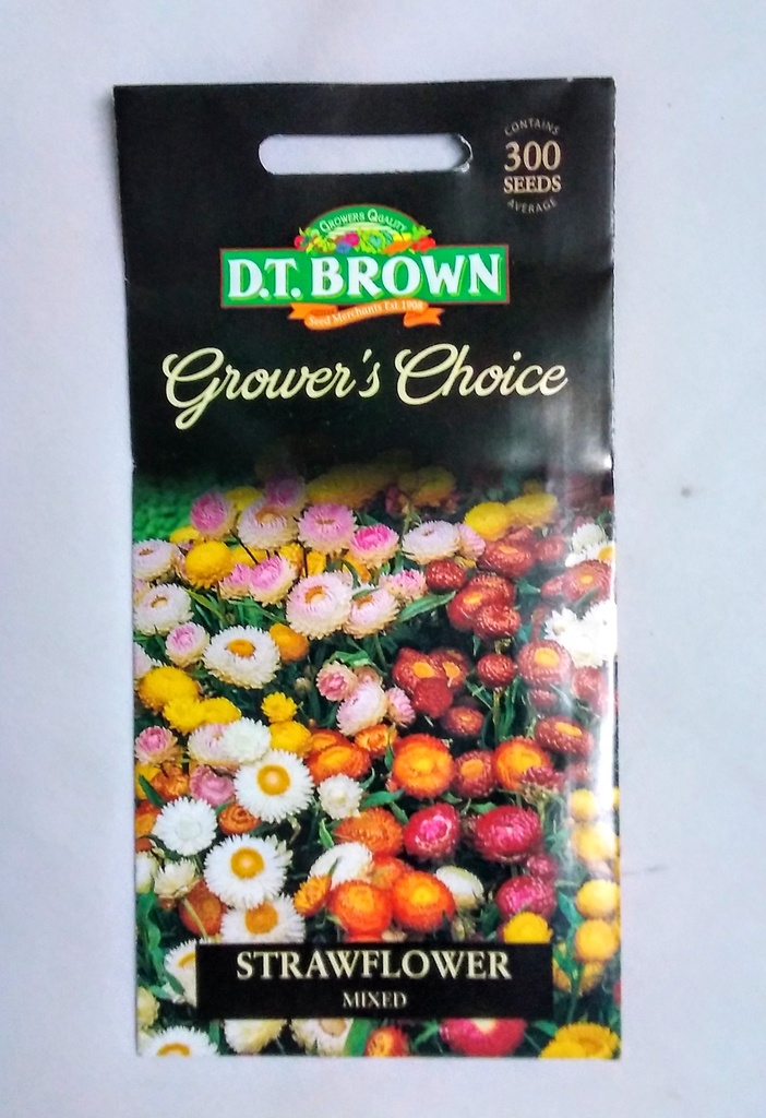 Seed Mr Fothergill'sl Strawflower Mixed 0.224g #2351