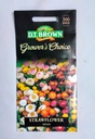 Seed Mr Fothergill'sl Strawflower Mixed 0.224g #2351