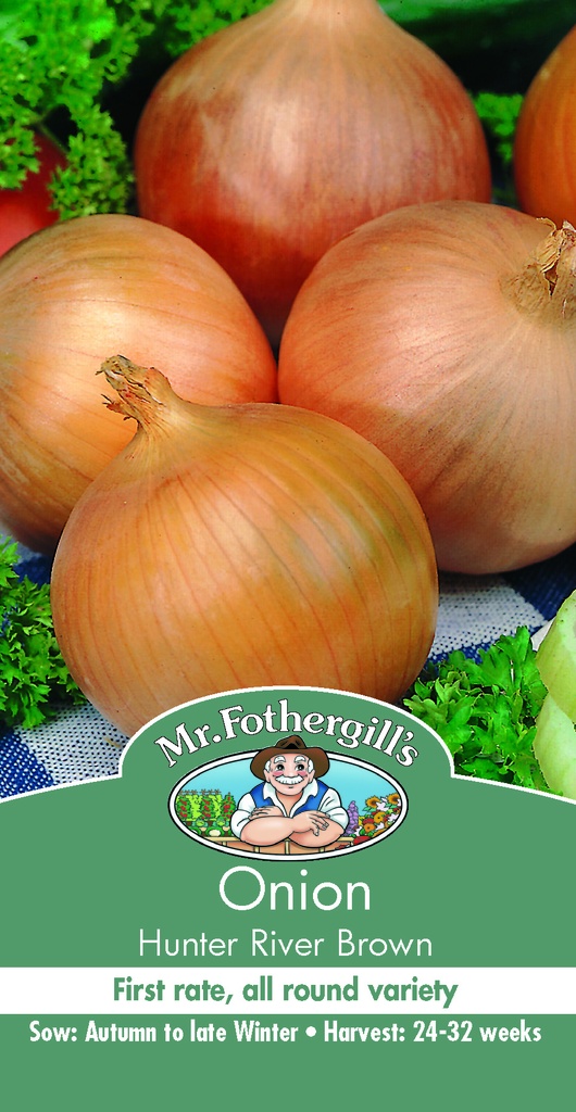 Seed Mr Fothergill'sl Onion H.R.Brown 2.074g #5242