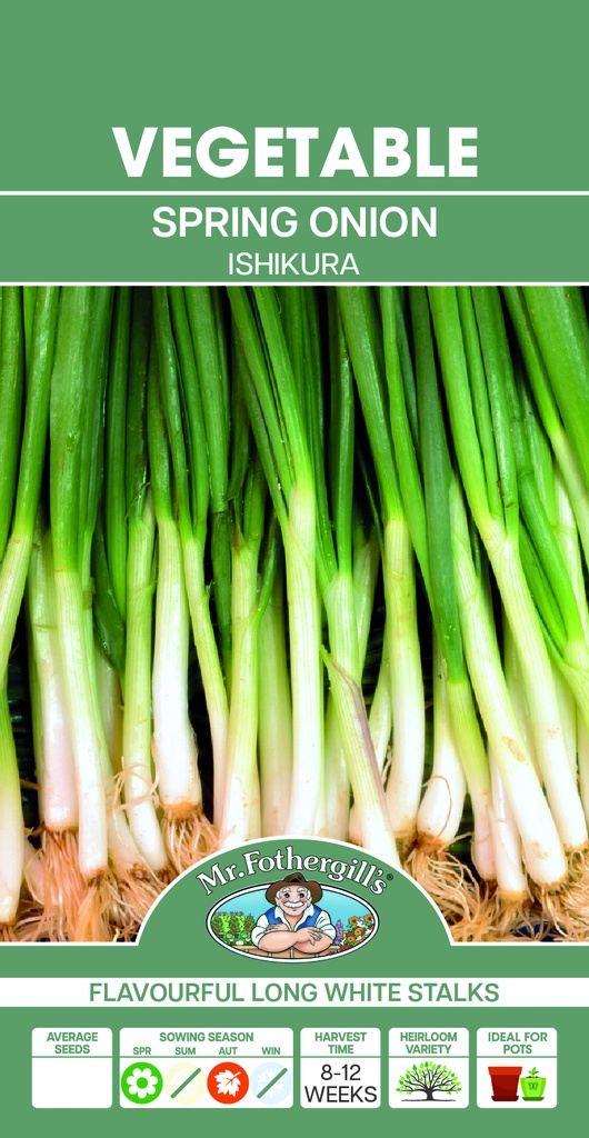 Seed Mr Fothergill'sl Onion S/Bunch Ish.1.216g #5726