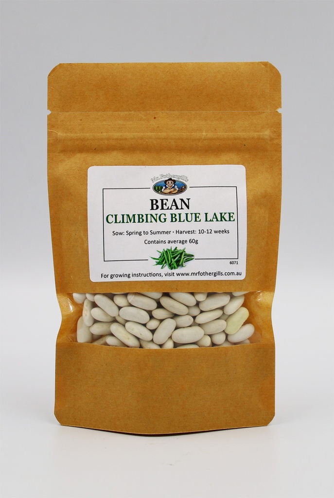 Seed Bean Climb B/Lake BP60g MFG6071