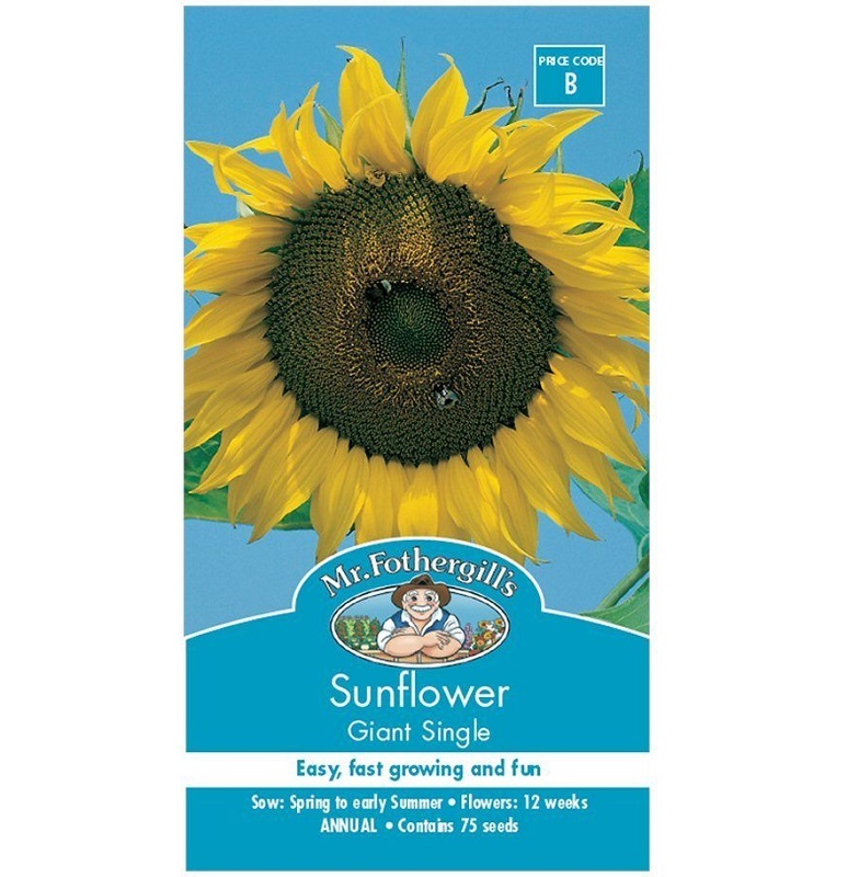 [SD0420]  Seed Mr Fothergill'sl Sunflower Giant BP 35g #6080