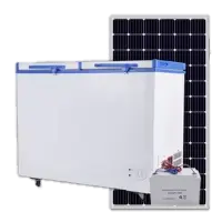 Solar Freezer 170lt W/Solar Panel BR170PMU