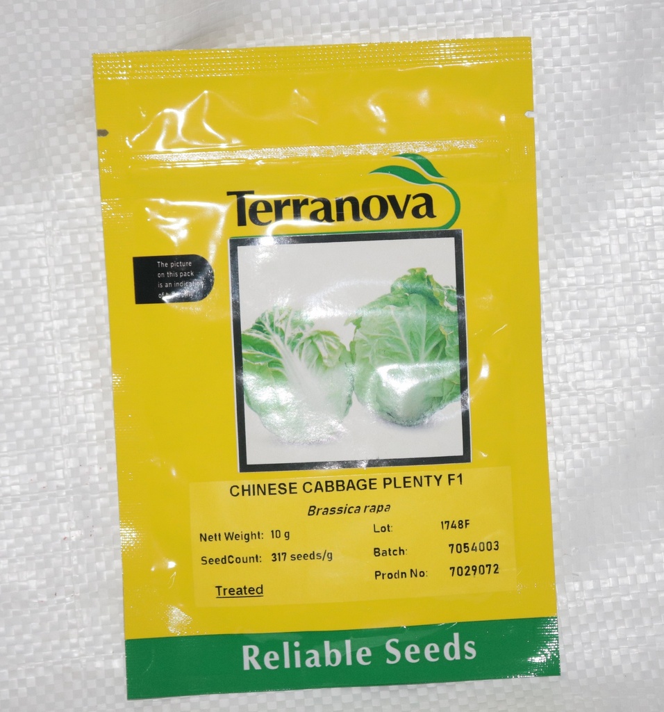[SD0421] Seed Cabbage Chinese Plenty F1 10G Terranova