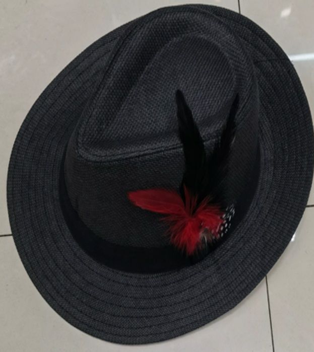 [FC6036] Hat Floppy W/ Feather 35409-3