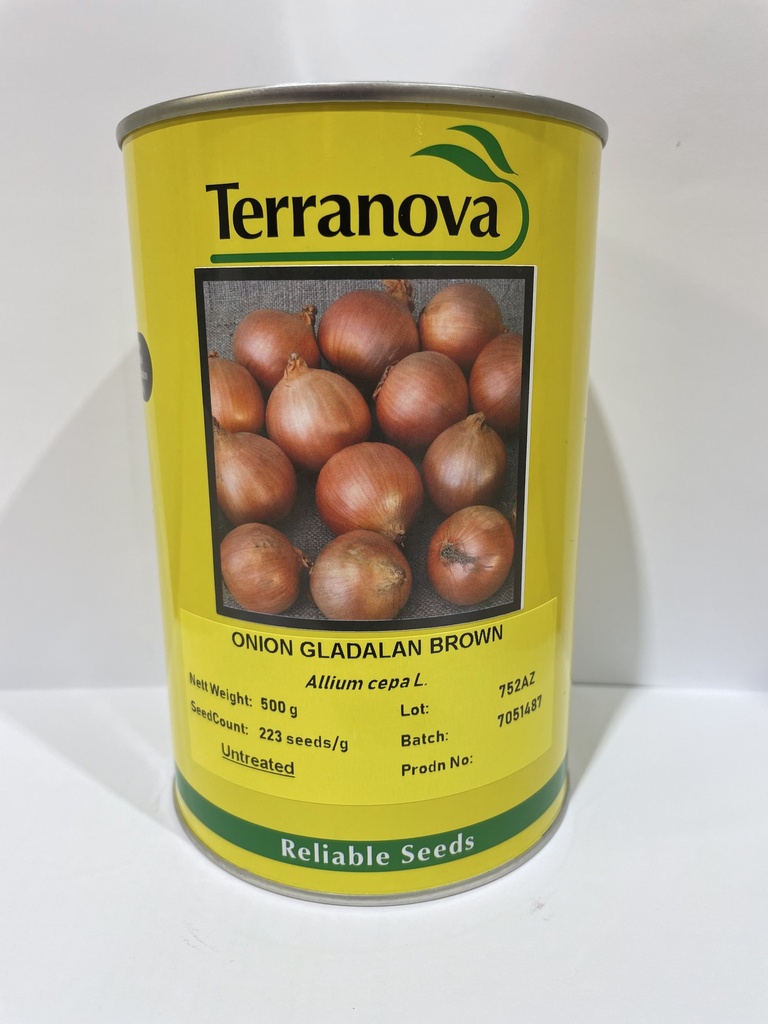 Seed Terranova Onion Gladalan Brwn 500g  