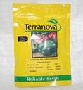 Seed Capsicum Carlifornia Wonder 100G Terranova 