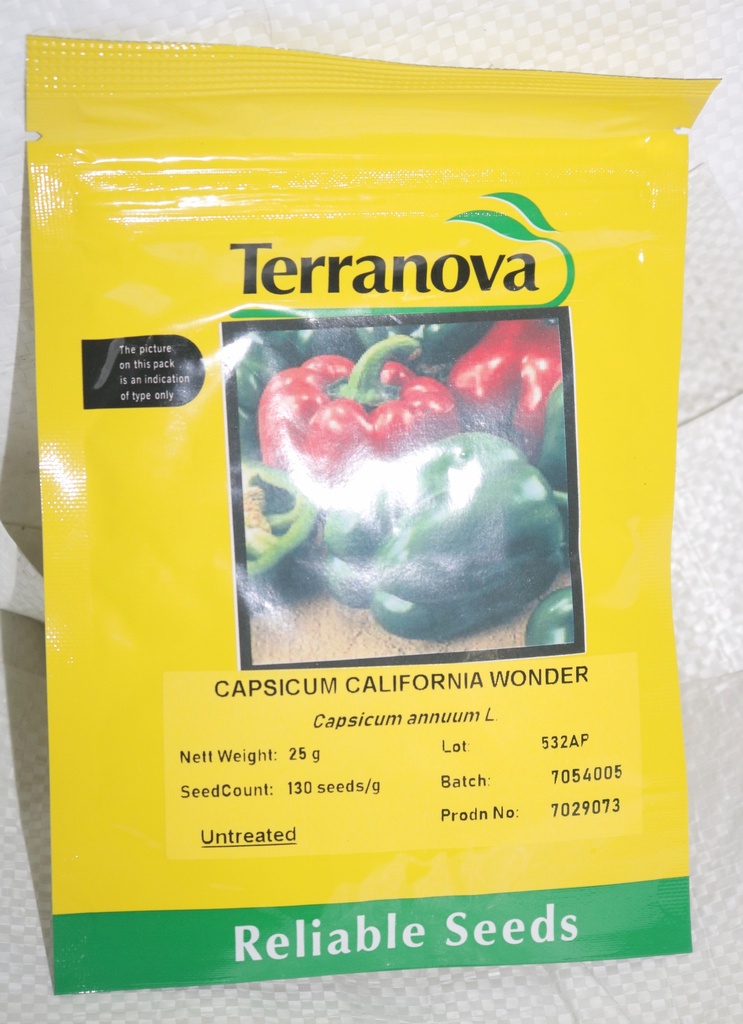 [SD0428]  Seed Terranova Capsicum California Wonder 25G 