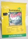  Seed Terranova Capsicum California Wonder 25G 