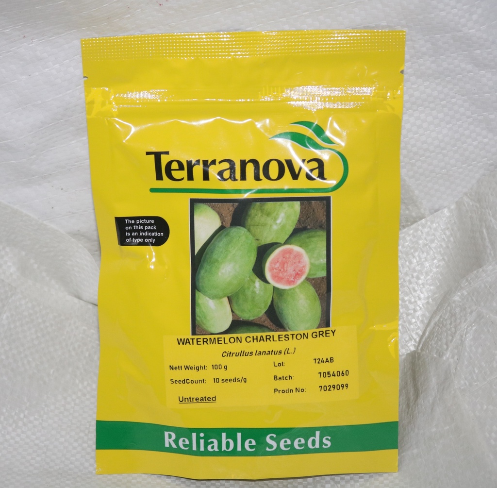  Seed Terranova Watermelon Charlestron 805 100g  