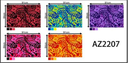 Fabric Jumping Fish 35/36" AZ2207