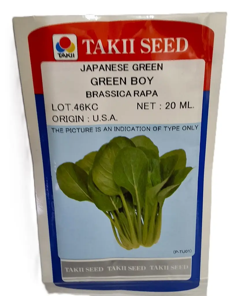 [400021] Seed Takii Japanese Green Boy 20ml